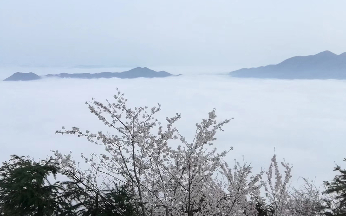 J9游戏·【中国】官方网站